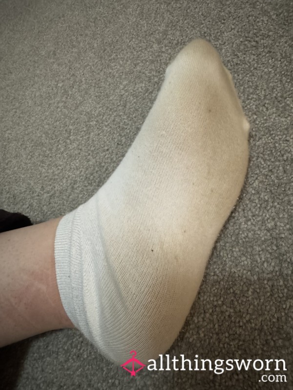 Worn All Day Socks