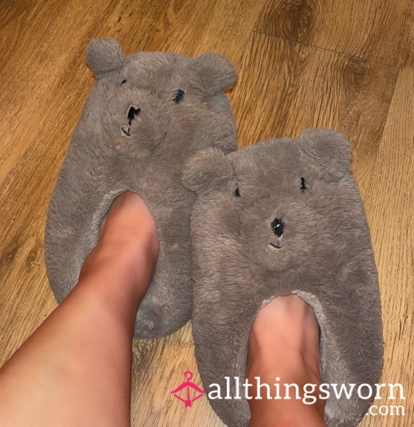 Worn Bear Slippers 🧸