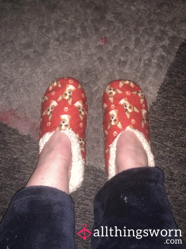 Worn Bedtime Slippers