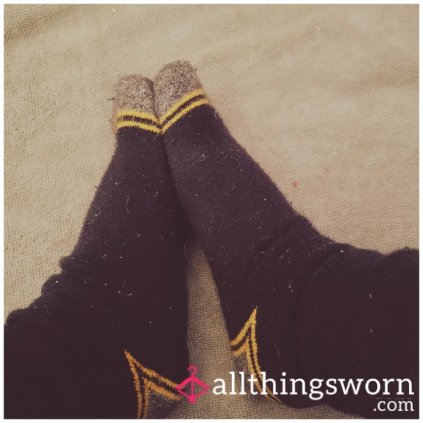 Worn Black Smelly Socks