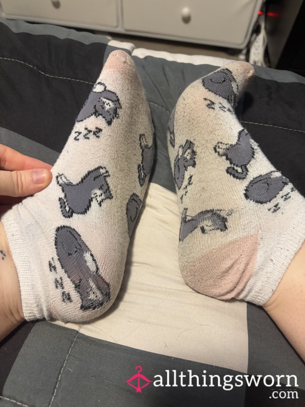Worn Cat Socks ❤️