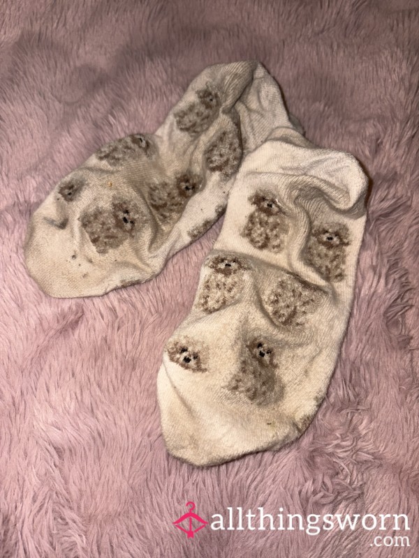 Worn Cute Teddy Socks