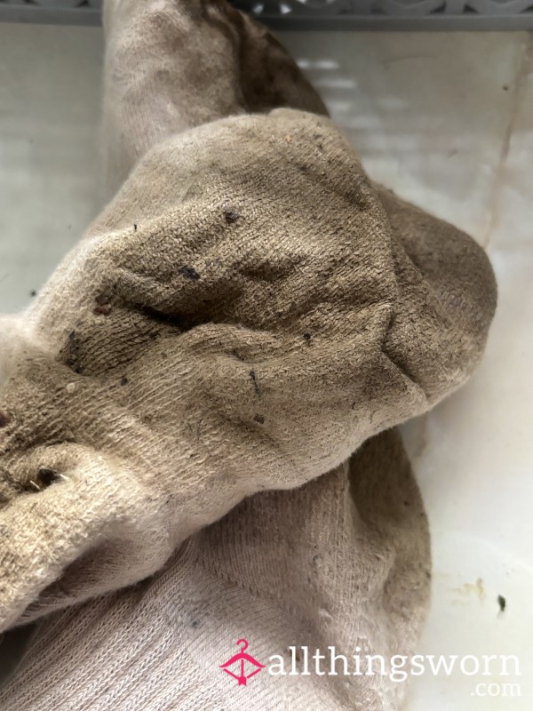 Very Worn Very Smelly Dirty  Socks