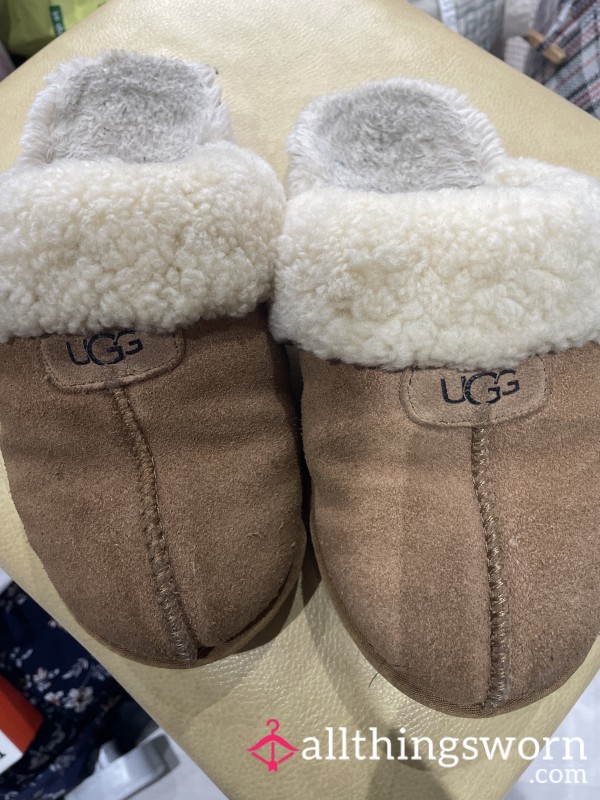 Worn Everyday! Very Beaten Ugg Slippers