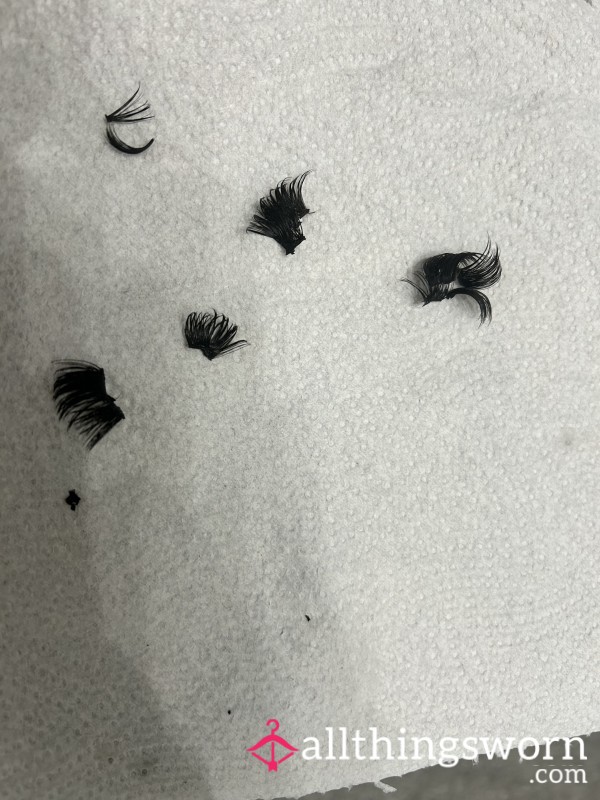 Worn Eyelashes Freshly Picked Off Today