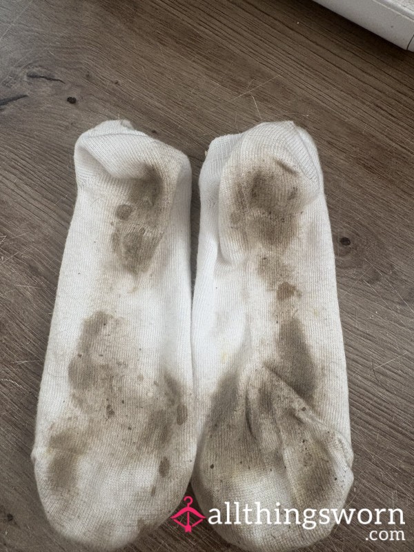 Worn Filthy Socks