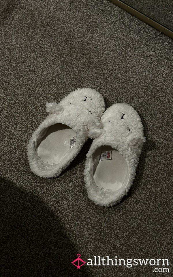 Worn Fluffy Slippers