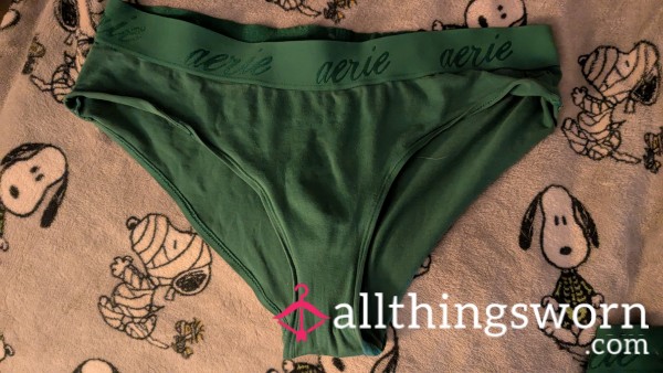 Worn For 48 Hours, Beautiful Bikini Cut