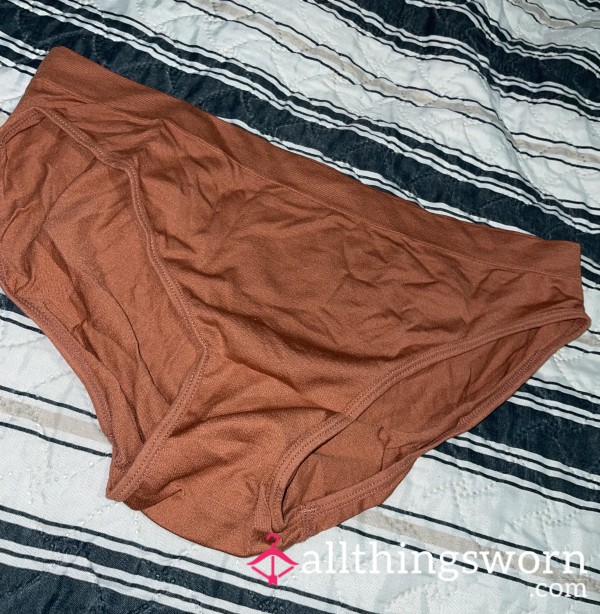 Worn Full Back Panties