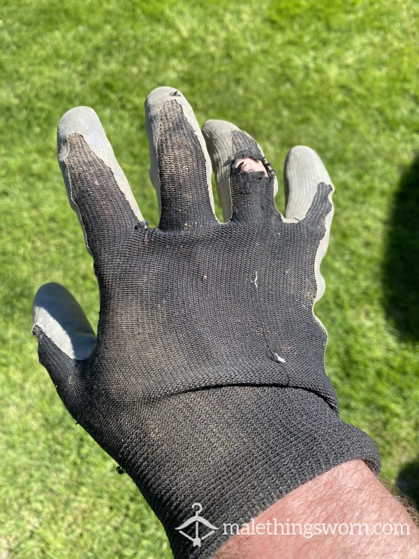 Worn Gardening Gloves