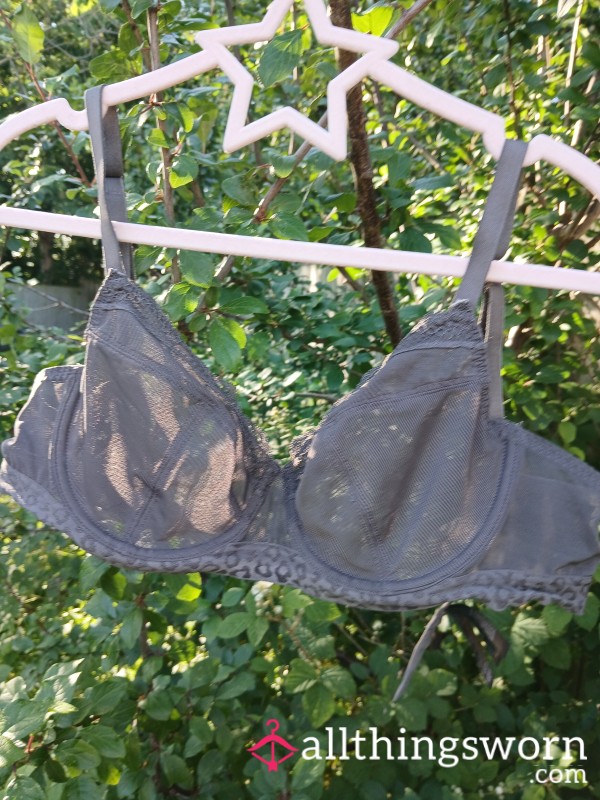 Worn Grey Bra 36C