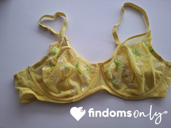 Worn Lace Bra