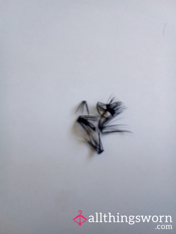 Worn Lashes