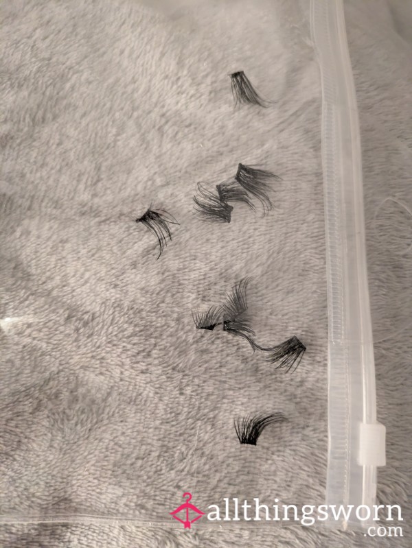 Worn Lashes