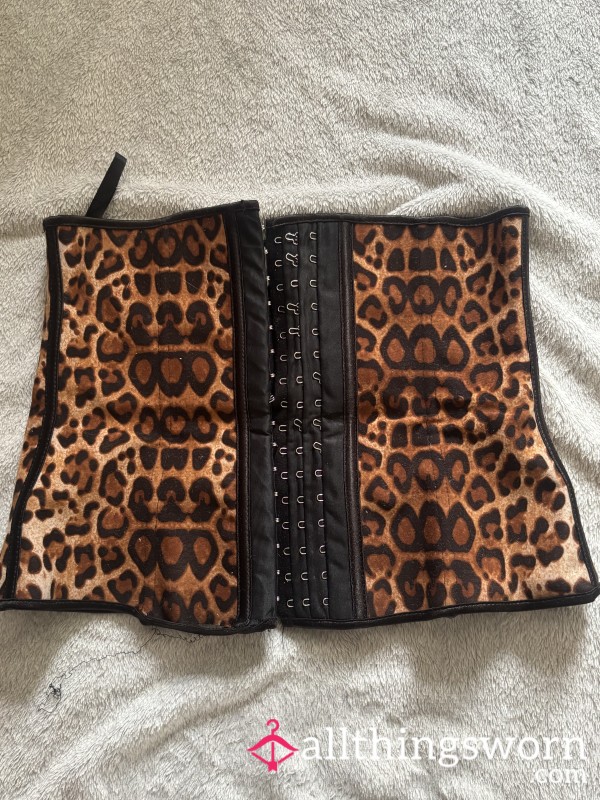 🐆 WORN LEOPARD PRINT WAIST TRAINER / CORSET — Fierce, Tight & Teased In 🐆