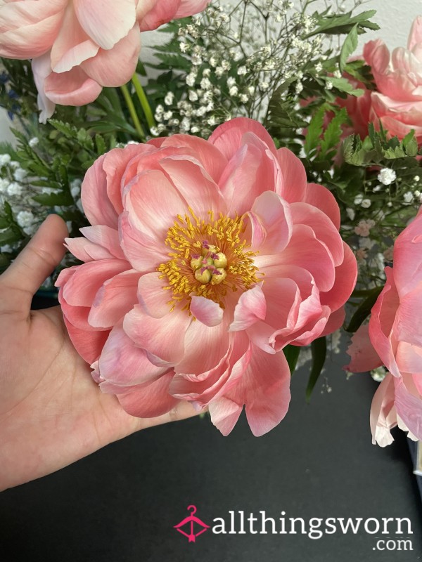 Worn Mystery Panties