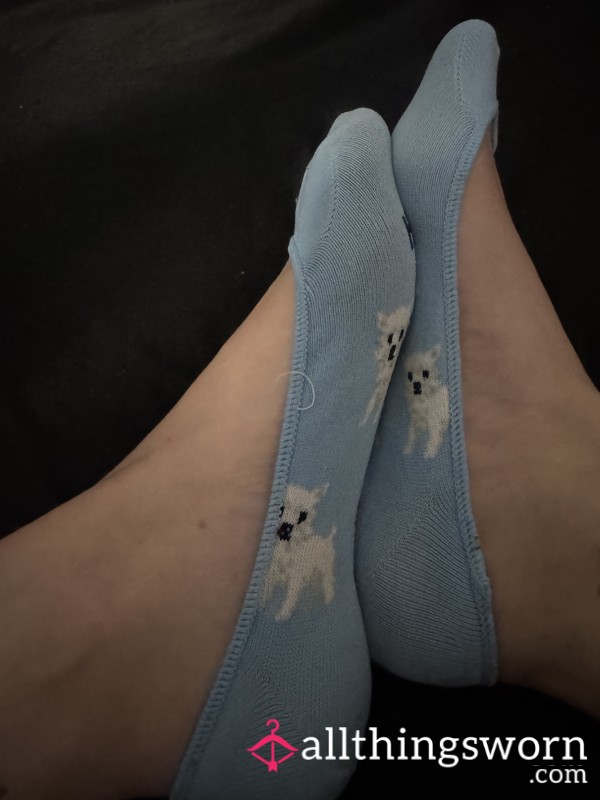 48 Hour Wear No Show Socks