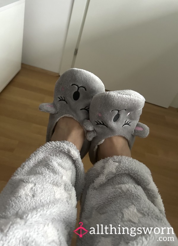 Worn Out Slippers