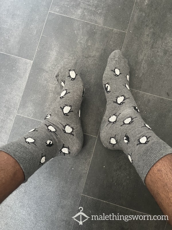 Worn Penguin Pattern Socks, 48hr Wear