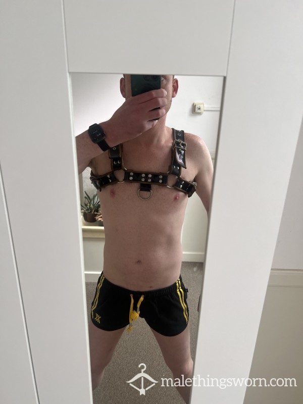 Worn Rubber/Latex Harness - Used And Loved