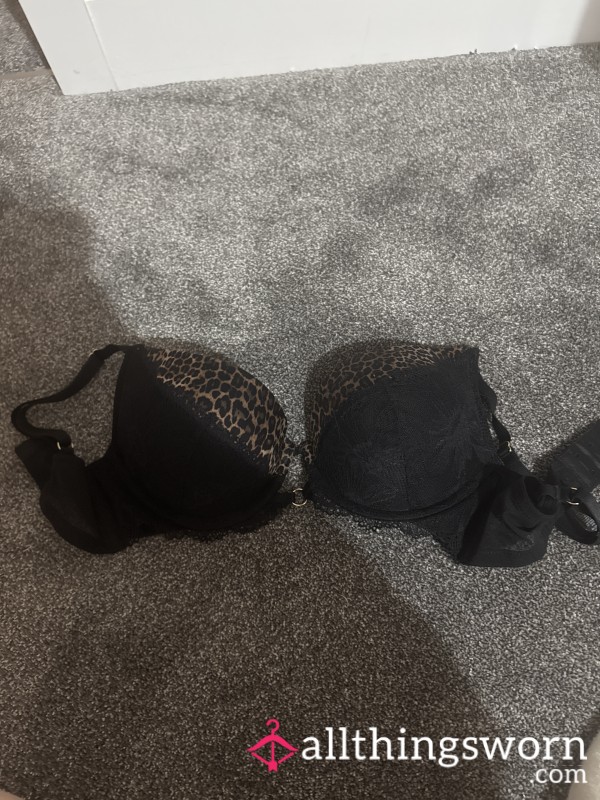 Worn S**y Lacey Leopard Print Push Up Bra