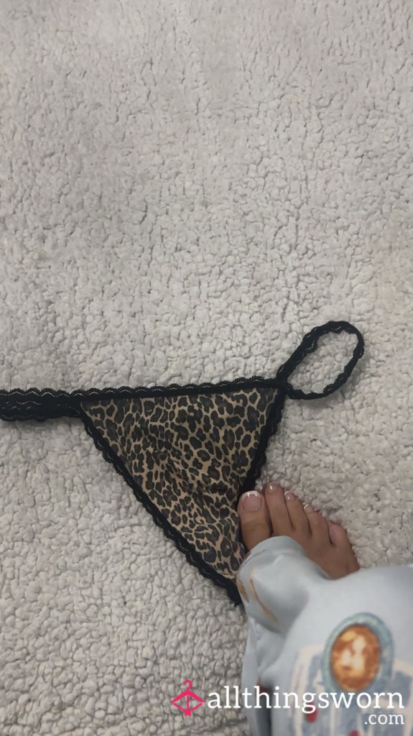 Worn S**y Leopard Thongs