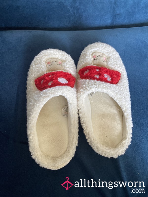 Worn Slippers