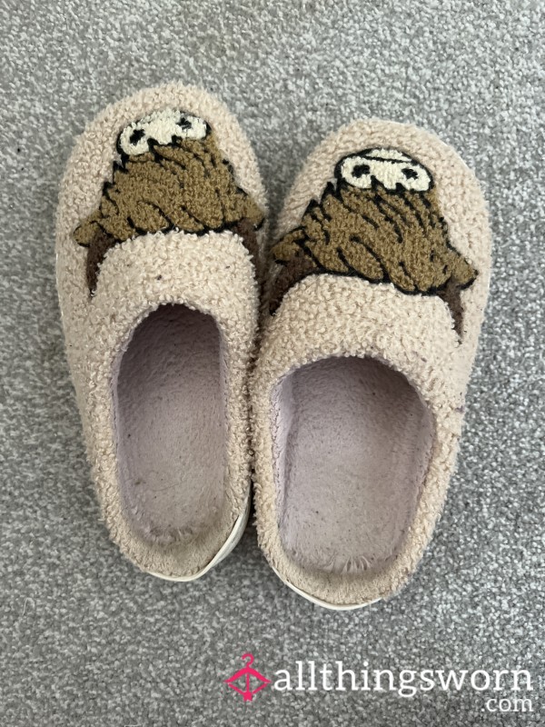 Worn Slippers