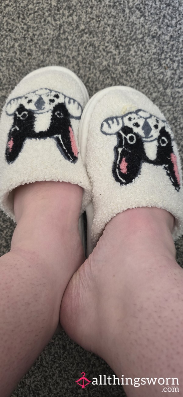 Worn Slippers