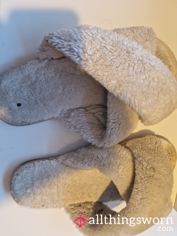 Worn Slippers