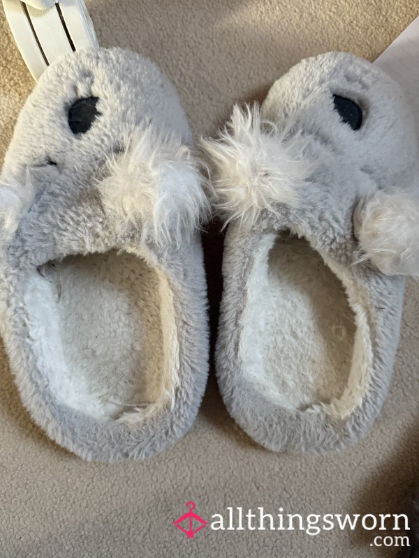 Worn Slippers