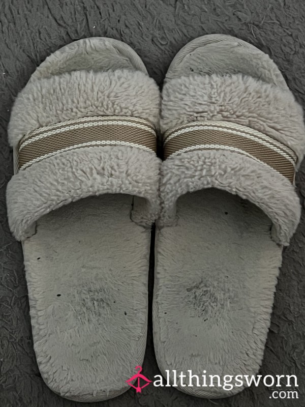 Worn Slippers Need A New Home
