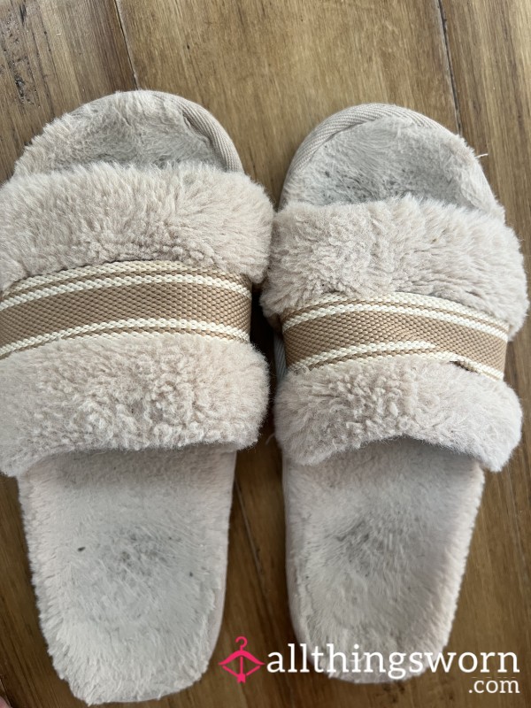 Worn Slippers Need A New Home