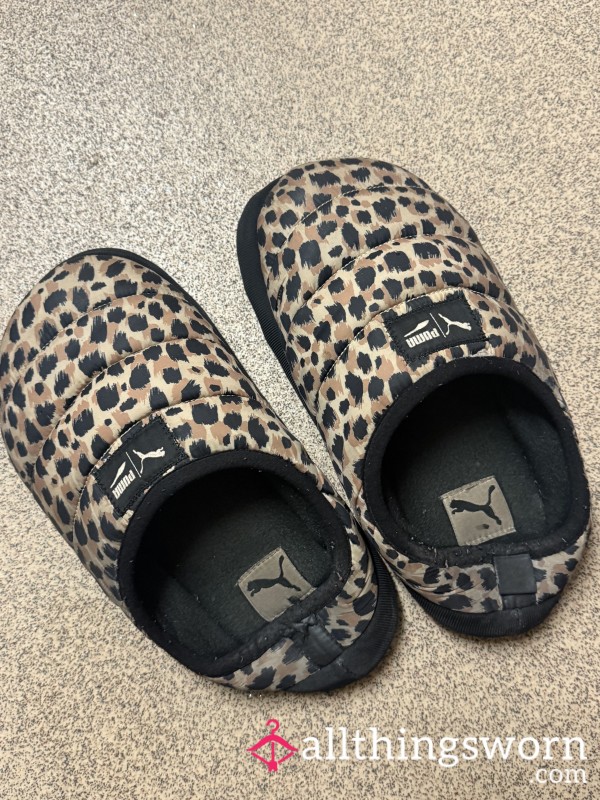 Worn Slippers