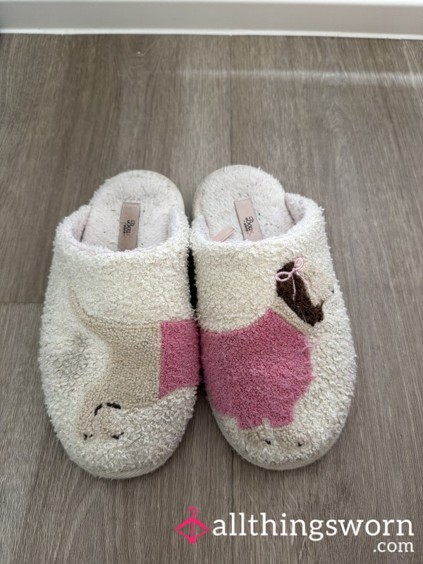 Worn Slippers