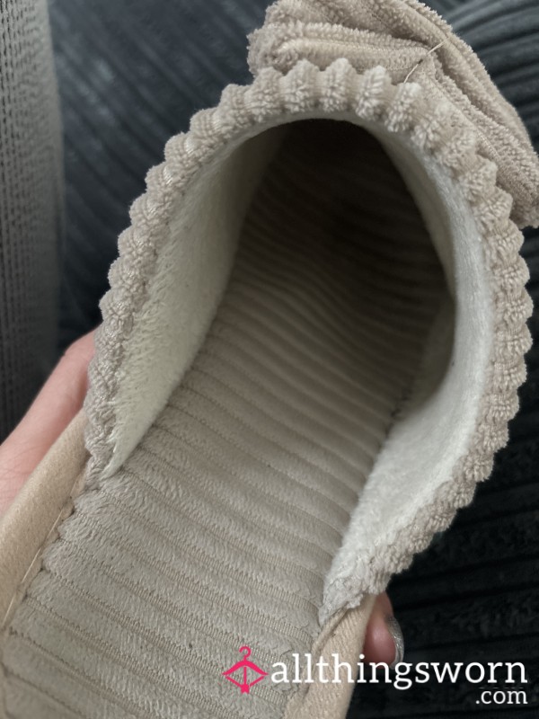 Worn Slippers 2+ Months