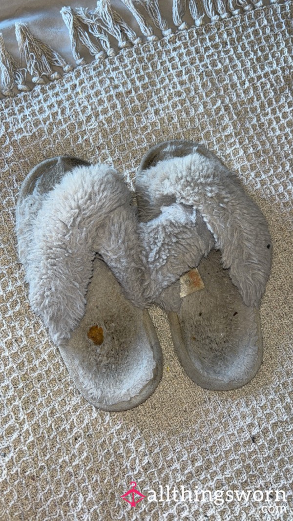 Worn Slippers Looking For Their New Home