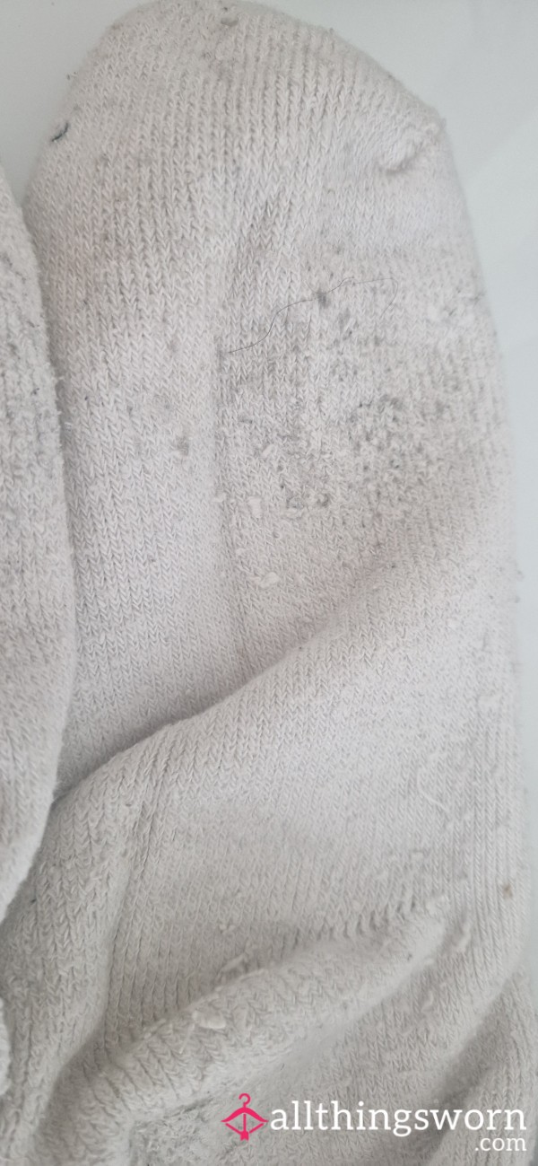 Worn Smelly Cheesy Socks