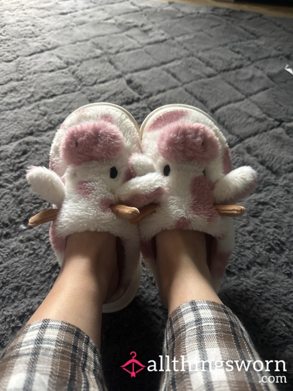 Worn Smelly Fluffy Slippers
