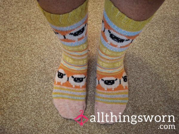 Worn Smelly Woollen Socks