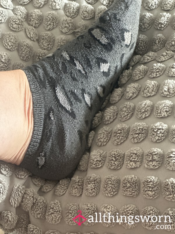 Worn Sockies
