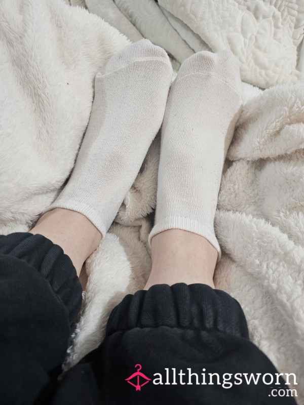 Freshly Worn Socks