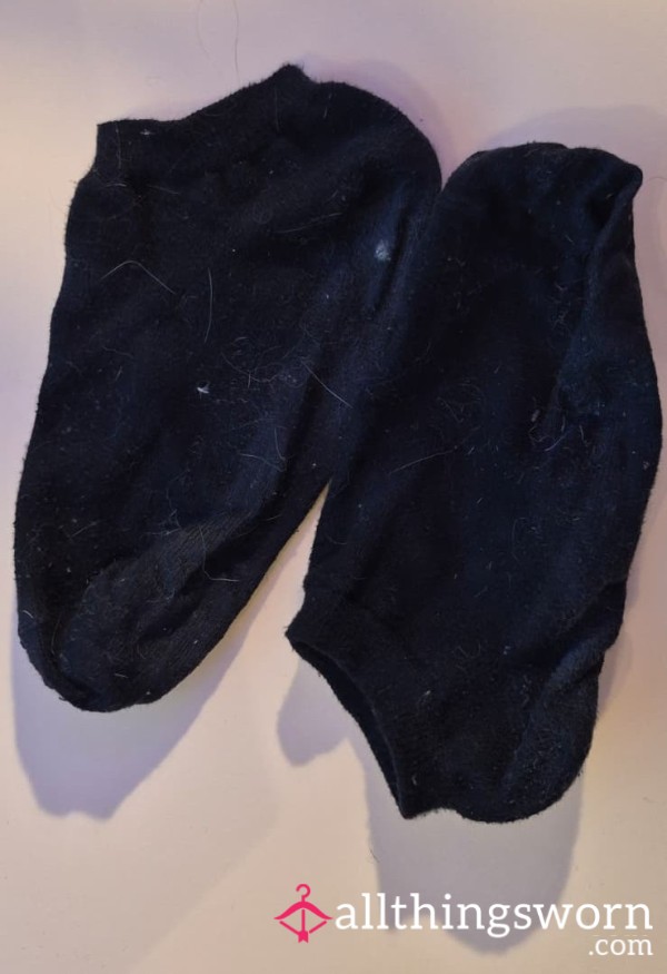 Worn Socks With Cat Hair