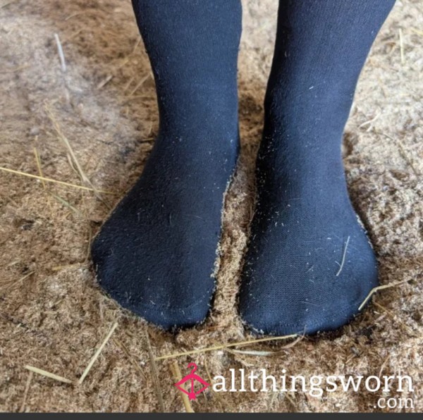 Worn Socks. Worn In Horse Stable