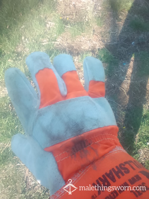 Worn Sweaty Dirty Leather Work Gloves Work Gloves