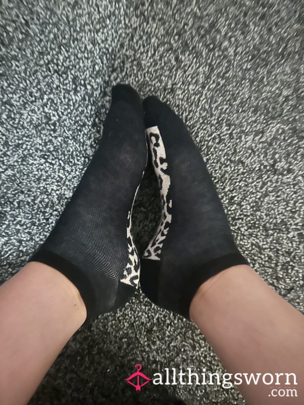 Worn Today