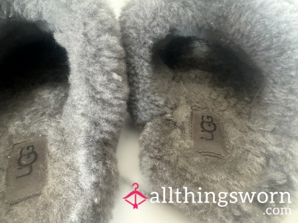 Worn Well Ugg Slippers