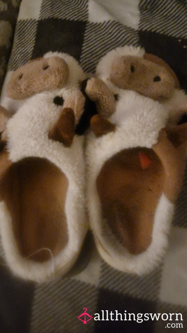 Wornout Slippers