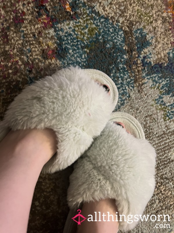 Worship My Feet