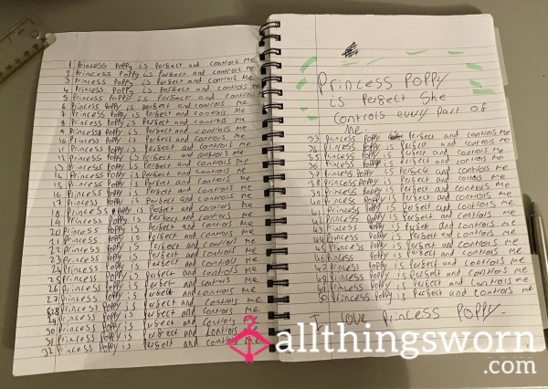 Punishment Lines For Bad Boys 📝